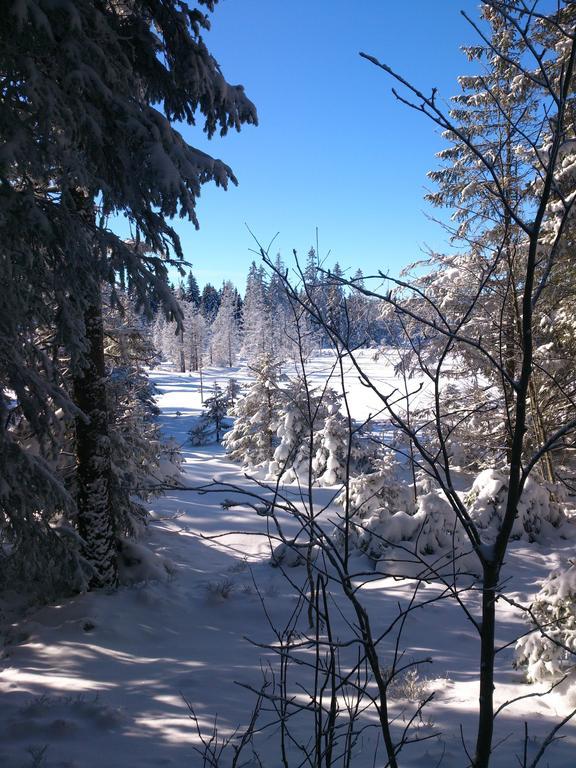 Schwarzwald-Chalet Feldberg Feldberg  Zewnętrze zdjęcie