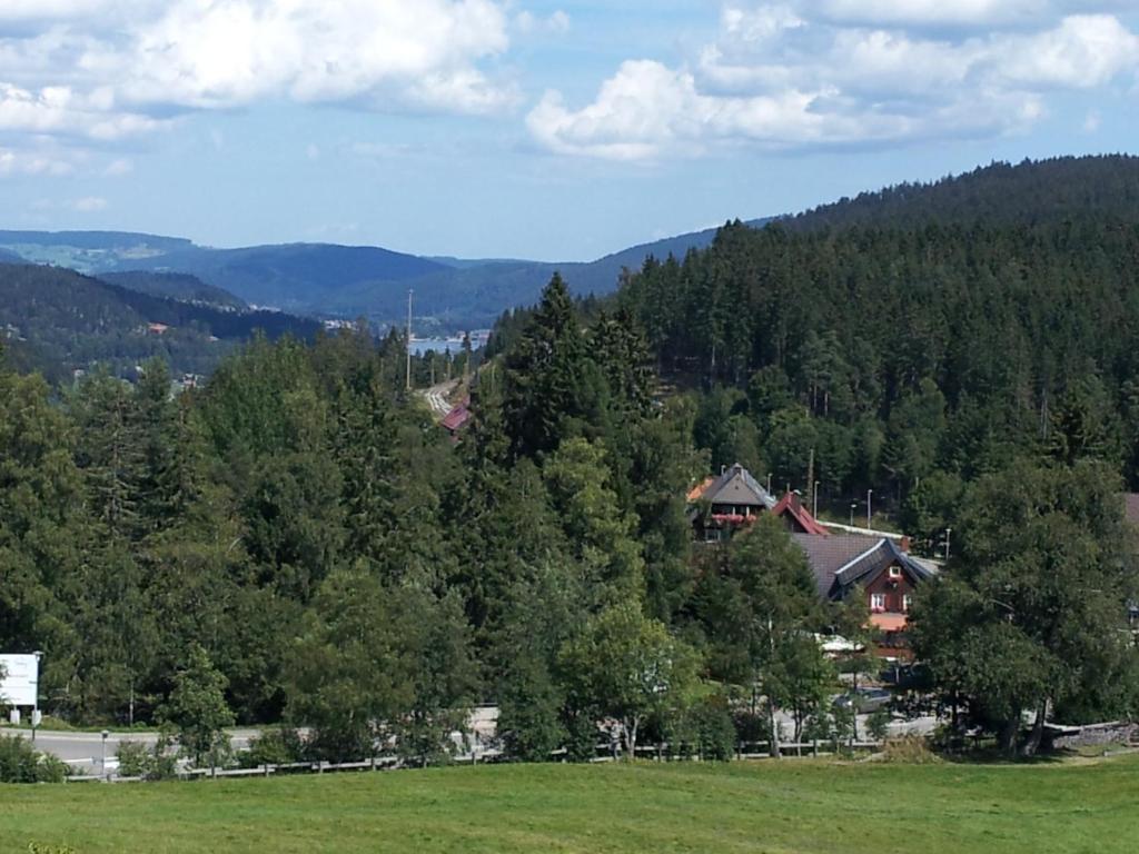Schwarzwald-Chalet Feldberg Feldberg  Zewnętrze zdjęcie